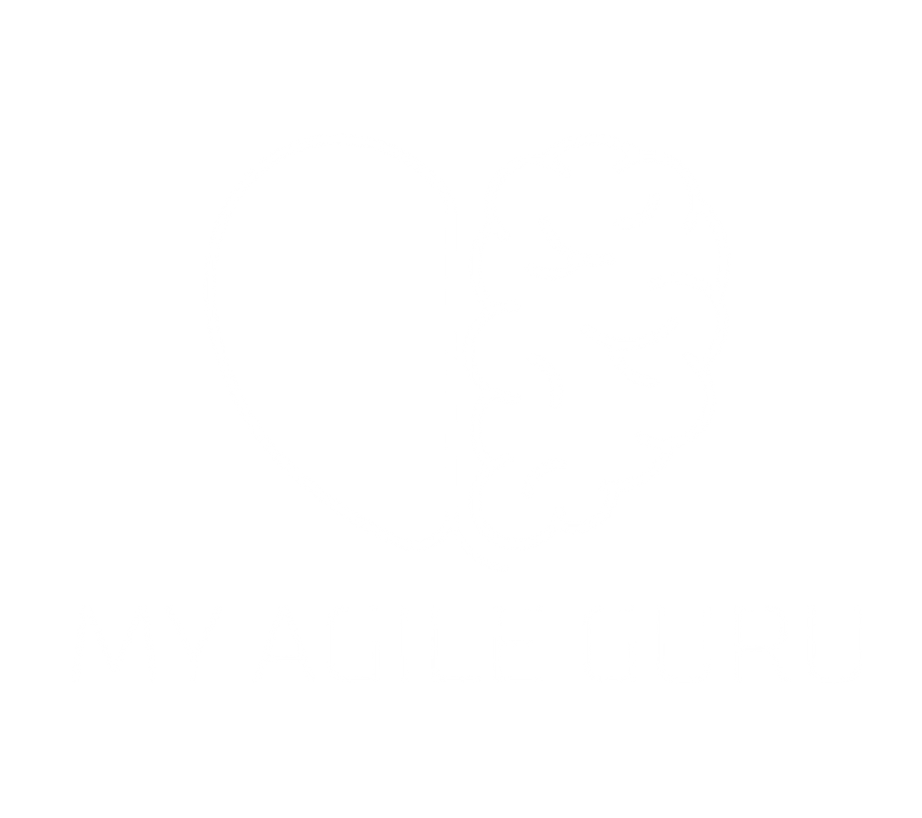 My Agile Guru